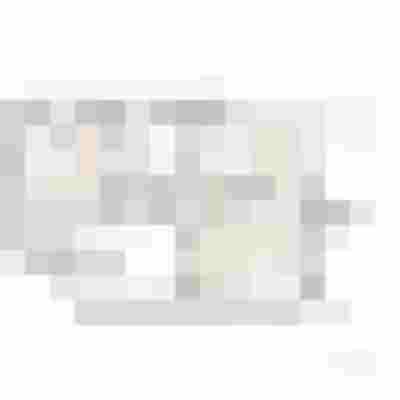 Grundriss einer Wohnung mit Schlafzimmer, Bad, WC, Wohn-/Küchenbereich und Balkon in Salzburg.